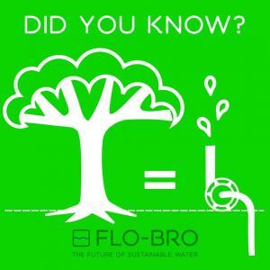 DYK-Trees_are_waterpumps-Flo-Bro