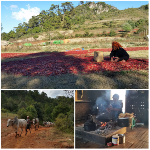 Kalaw trekking, Myanmar