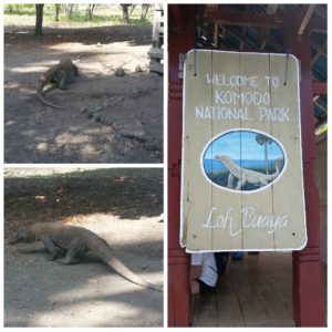 Komodo National Park