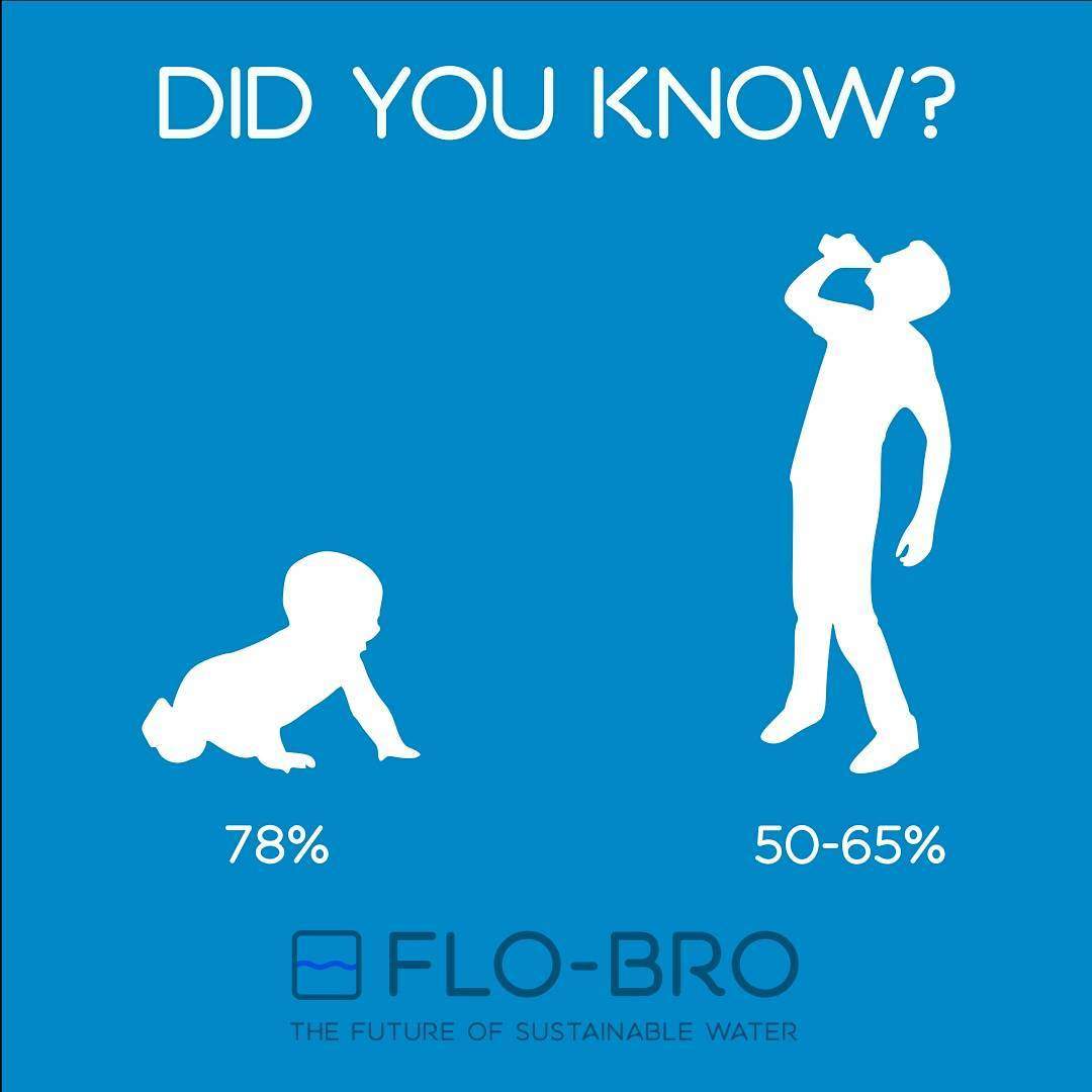 did-you-know-part-4-flo-bro