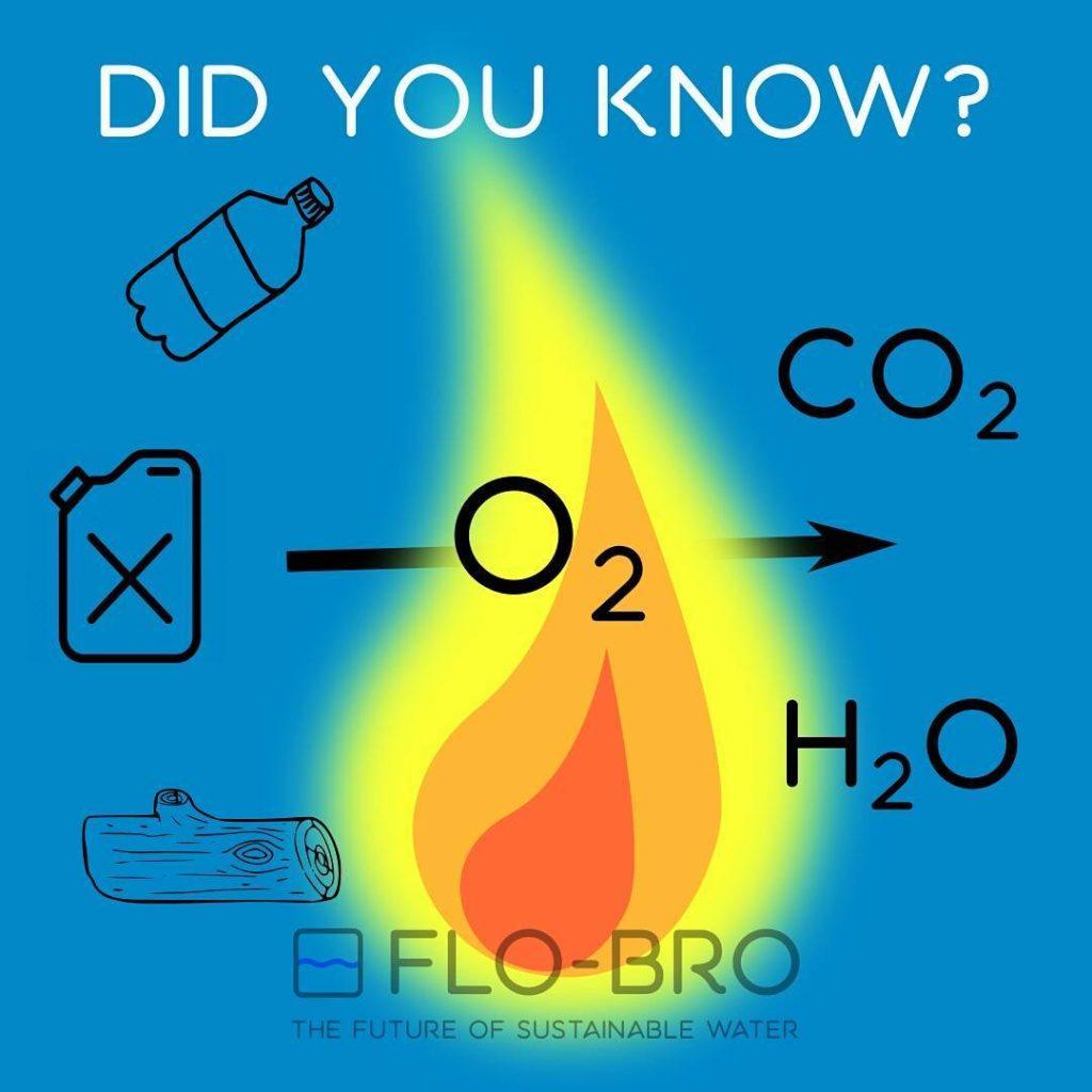 Did you know? Part 1 FloBro