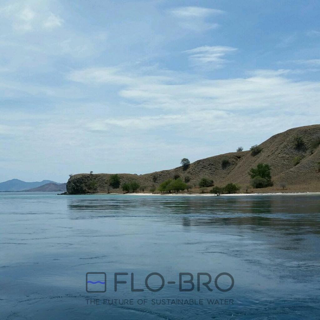 Flores Sea- Indonesia - Flo-Bro