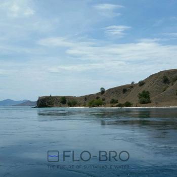 Flores Sea- Indonesia - Flo-Bro